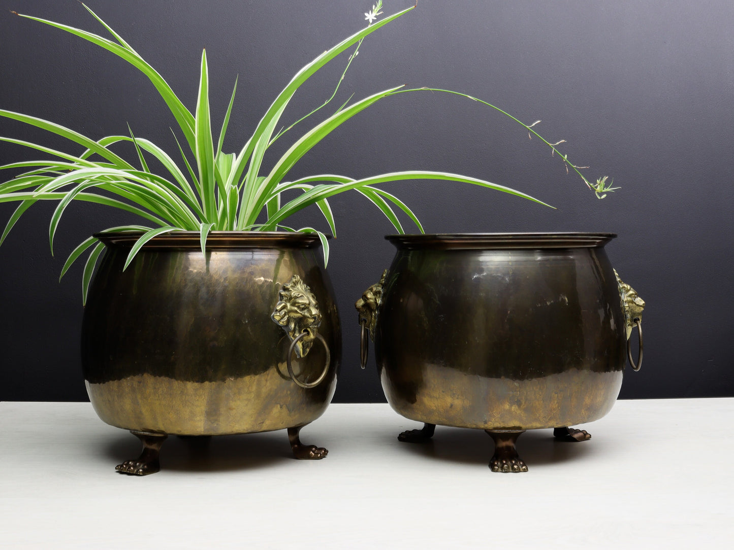 Vintage Brass Kettles: Unique Plant Holders for Entryway, Fireplace, or Hallway Decor