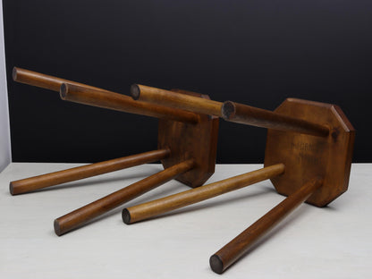 Belgian Pair of Vintage Stools: Indoor Plant Stand & Vintage Home Decor