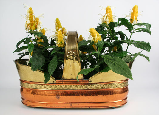 vintage plant holder made of brass and copper with aluminum insert for the perfect indoor planter pot 