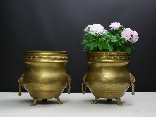 French Antique Brass Plant Holders
